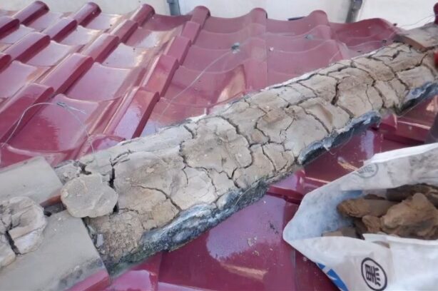 瓦改修工事 Before