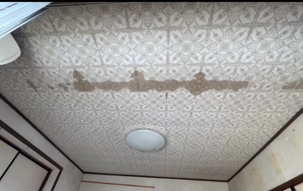 内部クロス張り替え工事 Before